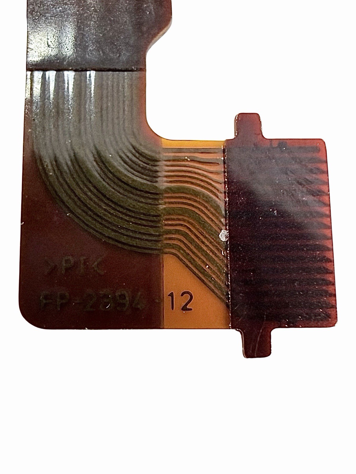 10 1977.jpg